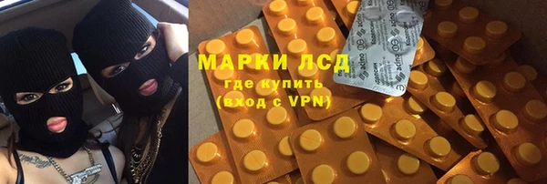 PSILOCYBIN Новозыбков