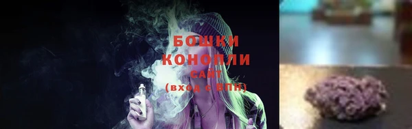 PSILOCYBIN Новозыбков
