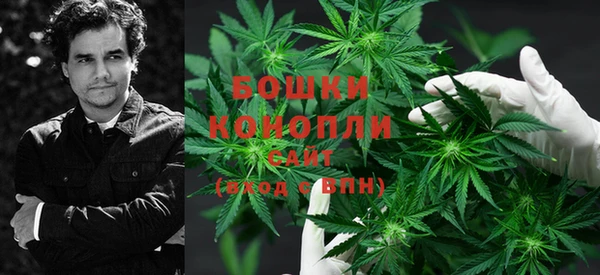 молекула духа Новокубанск