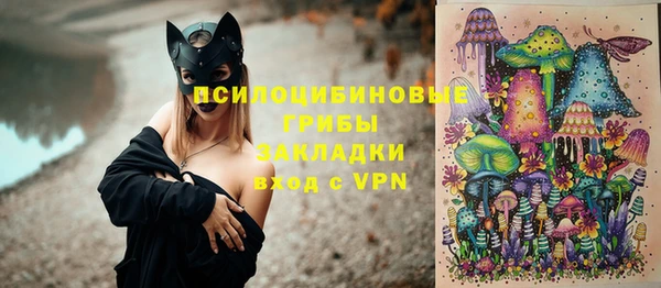 герыч Няндома