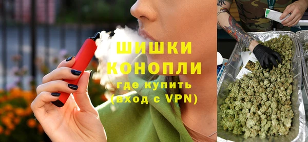 PSILOCYBIN Новозыбков