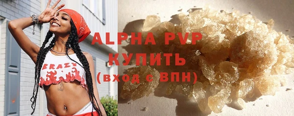 молекула духа Нефтекумск